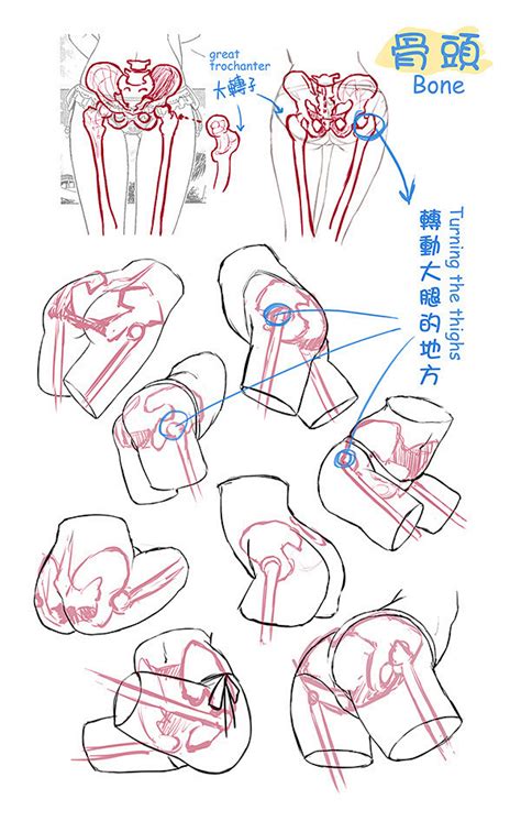 屁股 畫法|怎么画出Q弹的优秀屁股？